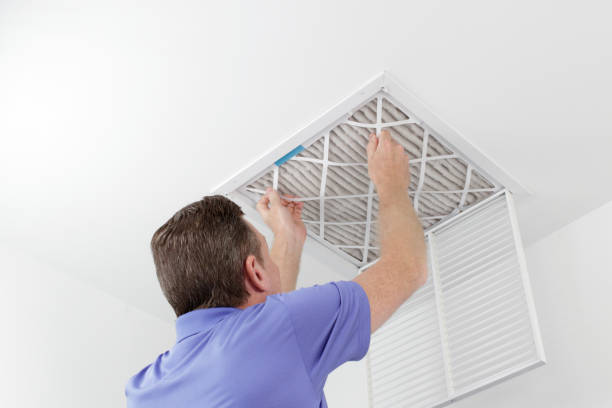 Best Air Duct Mold Removal  in USA